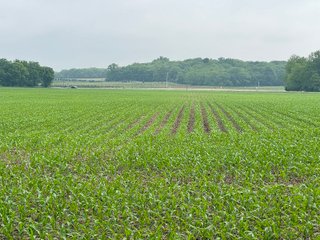 Property photo 1 - LAND AUCTION - 183.76+/-ACRES OFFERED IN 1 TRACT IN PICKAWAY COUNTY, OHIO