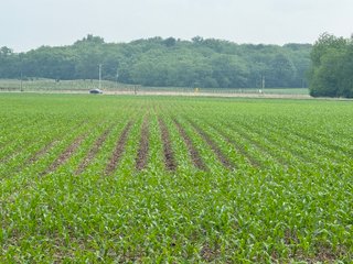 Property photo 55 - LAND AUCTION - 183.76+/-ACRES OFFERED IN 1 TRACT IN PICKAWAY COUNTY, OHIO