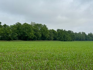 Property photo 46 - LAND AUCTION - 183.76+/-ACRES OFFERED IN 1 TRACT IN PICKAWAY COUNTY, OHIO