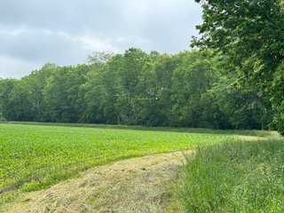 Property photo 54 - LAND AUCTION - 183.76+/-ACRES OFFERED IN 1 TRACT IN PICKAWAY COUNTY, OHIO