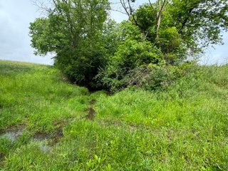 Property photo 53 - LAND AUCTION - 183.76+/-ACRES OFFERED IN 1 TRACT IN PICKAWAY COUNTY, OHIO