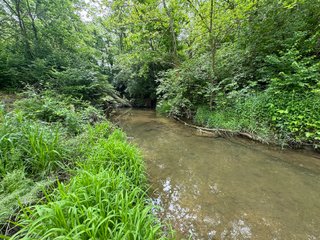 Property photo 52 - LAND AUCTION - 183.76+/-ACRES OFFERED IN 1 TRACT IN PICKAWAY COUNTY, OHIO