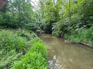 Property photo 51 - LAND AUCTION - 183.76+/-ACRES OFFERED IN 1 TRACT IN PICKAWAY COUNTY, OHIO