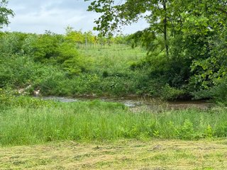 Property photo 48 - LAND AUCTION - 183.76+/-ACRES OFFERED IN 1 TRACT IN PICKAWAY COUNTY, OHIO