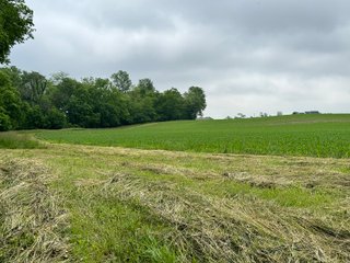 Property photo 47 - LAND AUCTION - 183.76+/-ACRES OFFERED IN 1 TRACT IN PICKAWAY COUNTY, OHIO