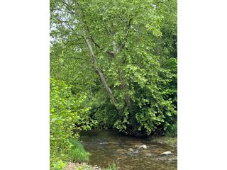 Property photo 18 - LAND AUCTION - 183.76+/-ACRES OFFERED IN 1 TRACT IN PICKAWAY COUNTY, OHIO