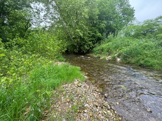 Property photo 17 - LAND AUCTION - 183.76+/-ACRES OFFERED IN 1 TRACT IN PICKAWAY COUNTY, OHIO