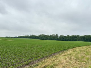 Property photo 15 - LAND AUCTION - 183.76+/-ACRES OFFERED IN 1 TRACT IN PICKAWAY COUNTY, OHIO