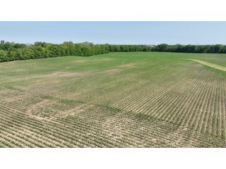 Property photo 14 - LAND AUCTION - 183.76+/-ACRES OFFERED IN 1 TRACT IN PICKAWAY COUNTY, OHIO