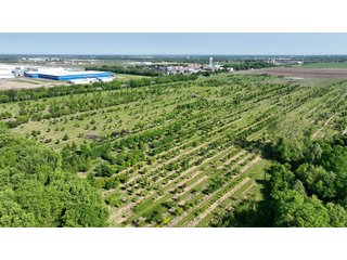 Property photo 13 - LAND AUCTION - 183.76+/-ACRES OFFERED IN 1 TRACT IN PICKAWAY COUNTY, OHIO