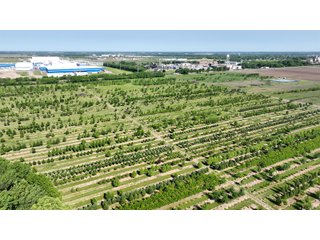 Property photo 12 - LAND AUCTION - 183.76+/-ACRES OFFERED IN 1 TRACT IN PICKAWAY COUNTY, OHIO