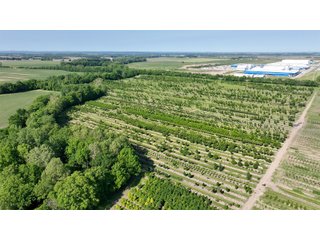 Property photo 3 - LAND AUCTION - 183.76+/-ACRES OFFERED IN 1 TRACT IN PICKAWAY COUNTY, OHIO