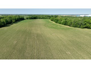 Property photo 10 - LAND AUCTION - 183.76+/-ACRES OFFERED IN 1 TRACT IN PICKAWAY COUNTY, OHIO