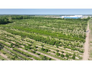 Property photo 9 - LAND AUCTION - 183.76+/-ACRES OFFERED IN 1 TRACT IN PICKAWAY COUNTY, OHIO