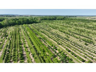 Property photo 8 - LAND AUCTION - 183.76+/-ACRES OFFERED IN 1 TRACT IN PICKAWAY COUNTY, OHIO