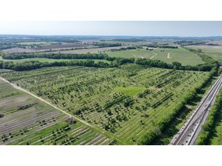 Property photo 7 - LAND AUCTION - 183.76+/-ACRES OFFERED IN 1 TRACT IN PICKAWAY COUNTY, OHIO