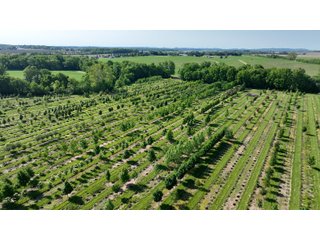 Property photo 6 - LAND AUCTION - 183.76+/-ACRES OFFERED IN 1 TRACT IN PICKAWAY COUNTY, OHIO