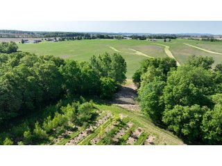 Property photo 5 - LAND AUCTION - 183.76+/-ACRES OFFERED IN 1 TRACT IN PICKAWAY COUNTY, OHIO