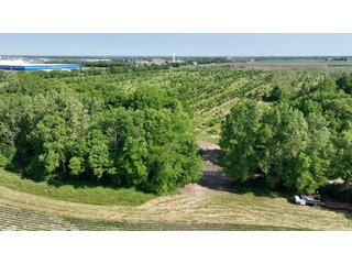 Property photo 11 - LAND AUCTION - 183.76+/-ACRES OFFERED IN 1 TRACT IN PICKAWAY COUNTY, OHIO