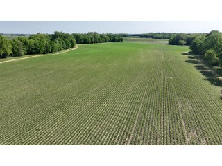 Property photo 33 - LAND AUCTION - 183.76+/-ACRES OFFERED IN 1 TRACT IN PICKAWAY COUNTY, OHIO