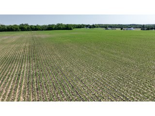 Property photo 32 - LAND AUCTION - 183.76+/-ACRES OFFERED IN 1 TRACT IN PICKAWAY COUNTY, OHIO