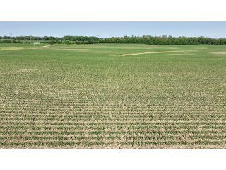 Property photo 31 - LAND AUCTION - 183.76+/-ACRES OFFERED IN 1 TRACT IN PICKAWAY COUNTY, OHIO