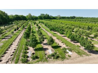 Property photo 29 - LAND AUCTION - 183.76+/-ACRES OFFERED IN 1 TRACT IN PICKAWAY COUNTY, OHIO