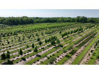 Property photo 28 - LAND AUCTION - 183.76+/-ACRES OFFERED IN 1 TRACT IN PICKAWAY COUNTY, OHIO