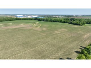 Property photo 20 - LAND AUCTION - 183.76+/-ACRES OFFERED IN 1 TRACT IN PICKAWAY COUNTY, OHIO