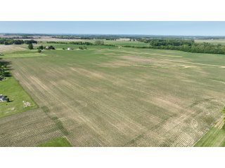 Property photo 24 - LAND AUCTION - 183.76+/-ACRES OFFERED IN 1 TRACT IN PICKAWAY COUNTY, OHIO