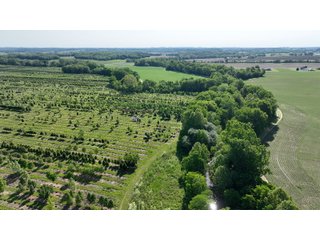 Property photo 23 - LAND AUCTION - 183.76+/-ACRES OFFERED IN 1 TRACT IN PICKAWAY COUNTY, OHIO