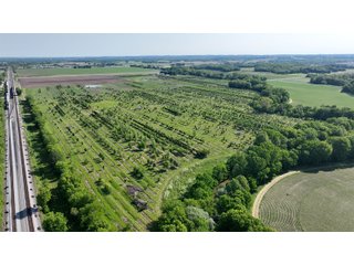 Property photo 22 - LAND AUCTION - 183.76+/-ACRES OFFERED IN 1 TRACT IN PICKAWAY COUNTY, OHIO