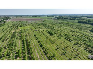 Property photo 21 - LAND AUCTION - 183.76+/-ACRES OFFERED IN 1 TRACT IN PICKAWAY COUNTY, OHIO