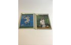Property photo 26 - TIMED ONLINE ONLY SPORTS CARDS AUCTION IN ALLEN COUNTY INDIANA