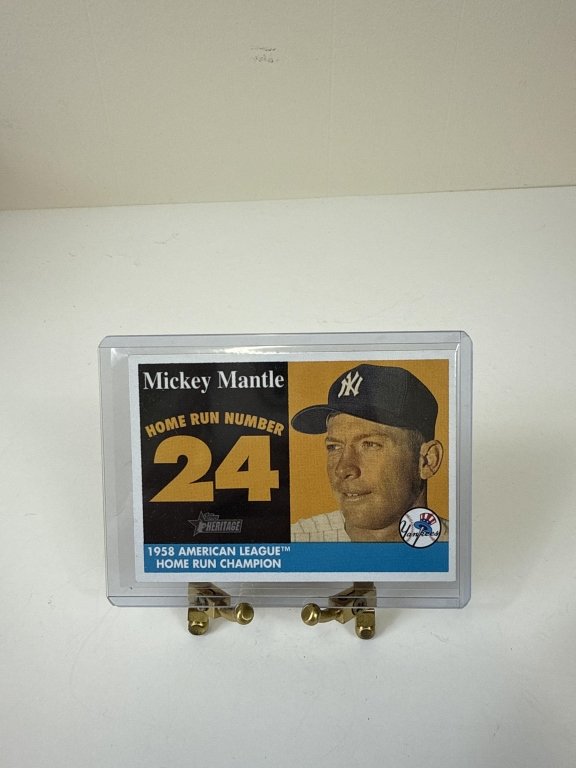 Property photo 91 - TIMED ONLINE ONLY SPORTS CARDS AUCTION IN ALLEN COUNTY INDIANA