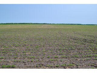 Property photo 37 - LAND AUCTION - 74.29+/-ACRES OFFERED IN 1 TRACT IN IROQUOIS CO., ILLINOIS