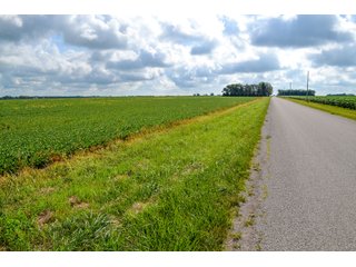 Property photo 7 - LAND AUCTION - 74.29+/-ACRES OFFERED IN 1 TRACT IN IROQUOIS CO., ILLINOIS