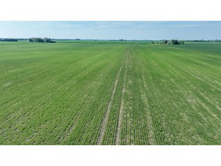 Property photo 27 - LAND AUCTION - 74.29+/-ACRES OFFERED IN 1 TRACT IN IROQUOIS CO., ILLINOIS