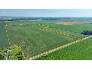 Property photo 1 - LAND AUCTION - 74.29+/-ACRES OFFERED IN 1 TRACT IN IROQUOIS CO., ILLINOIS