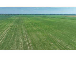 Property photo 28 - LAND AUCTION - 74.29+/-ACRES OFFERED IN 1 TRACT IN IROQUOIS CO., ILLINOIS