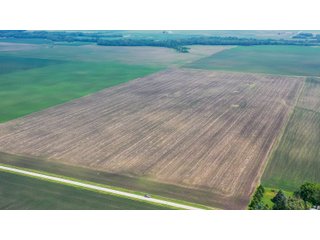 Property photo 11 - LAND AUCTION - 74.29+/-ACRES OFFERED IN 1 TRACT IN IROQUOIS CO., ILLINOIS