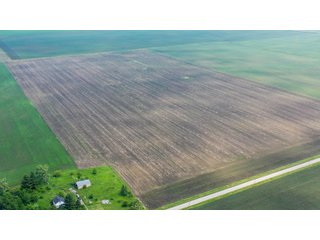 Property photo 12 - LAND AUCTION - 74.29+/-ACRES OFFERED IN 1 TRACT IN IROQUOIS CO., ILLINOIS