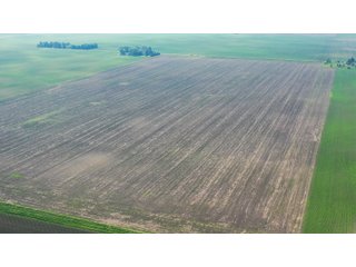 Property photo 13 - LAND AUCTION - 74.29+/-ACRES OFFERED IN 1 TRACT IN IROQUOIS CO., ILLINOIS