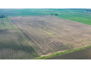 Property photo 14 - LAND AUCTION - 74.29+/-ACRES OFFERED IN 1 TRACT IN IROQUOIS CO., ILLINOIS