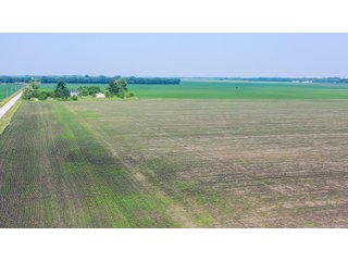 Property photo 15 - LAND AUCTION - 74.29+/-ACRES OFFERED IN 1 TRACT IN IROQUOIS CO., ILLINOIS