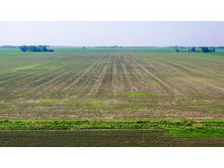 Property photo 3 - LAND AUCTION - 74.29+/-ACRES OFFERED IN 1 TRACT IN IROQUOIS CO., ILLINOIS