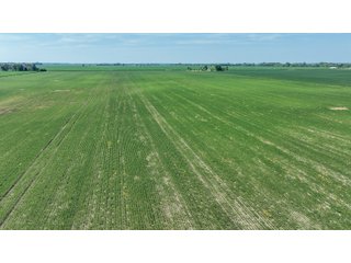 Property photo 34 - LAND AUCTION - 74.29+/-ACRES OFFERED IN 1 TRACT IN IROQUOIS CO., ILLINOIS
