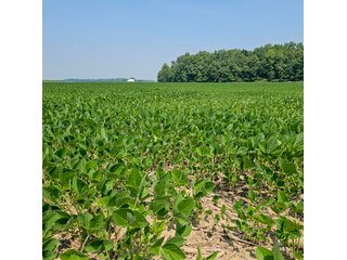 Property photo 52 - LAND AUCTION - 60.5+/- ACRES OFFERED IN 3 TRACTS IN PAULDING COUNTY, OHIO