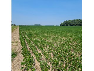 Property photo 51 - LAND AUCTION - 60.5+/- ACRES OFFERED IN 3 TRACTS IN PAULDING COUNTY, OHIO