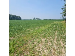 Property photo 45 - LAND AUCTION - 60.5+/- ACRES OFFERED IN 3 TRACTS IN PAULDING COUNTY, OHIO